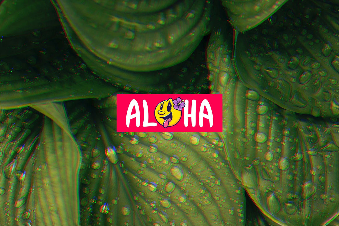 ALOHA by Mojis: Spreading Smiles with Hawaiian Style and a Smiley Face To Remember